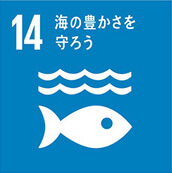 SDGs